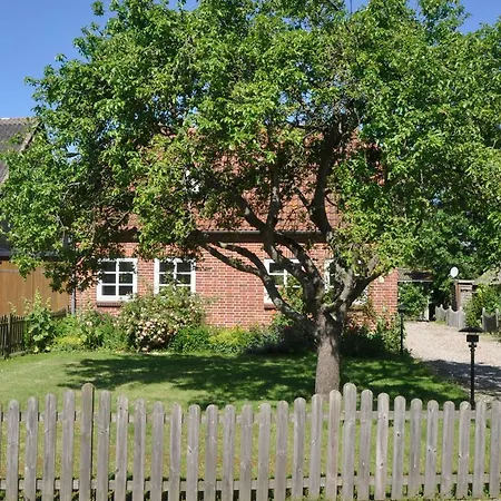 Fischerhus - #121581